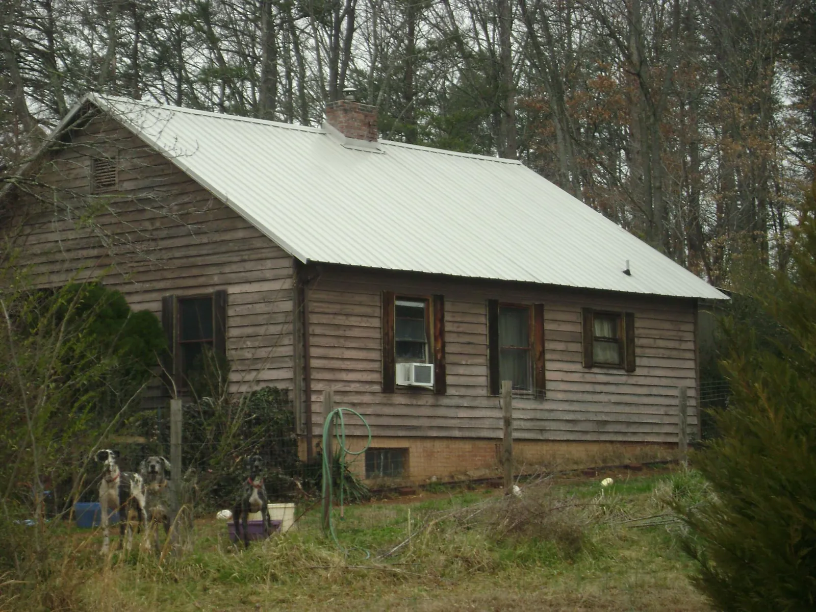 White metal roof on an old wood sided farmhouse, from a Asphalt Shingle Roof Repair job in Adrian